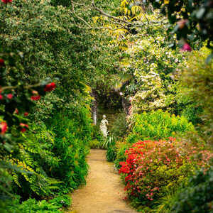 A vibrant scene at Abbotsbury Subtropical Gardens with colourful plant life lining the pathways
