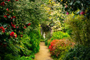pathway leading to sculpture at abbotsbury subtropical gardens