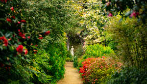 pathway leading to sculpture in the walled garden at abbotsbury subtropical gardens