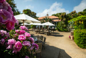 pathway leading to sculpture at abbotsbury subtropical gardens