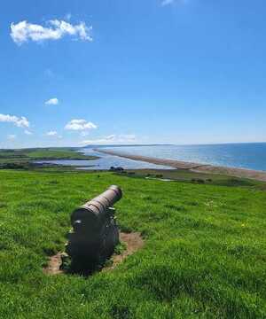 Viewpoint across Chesil Beach with cannon on grassy ground and a beach in the distance.
