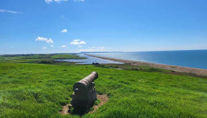 viewpoint from abbostbusry subtropical gardens includes cannon looking out to sea 