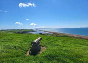 viewpoint from abbostbusry subtropical gardens includes cannon looking out to sea