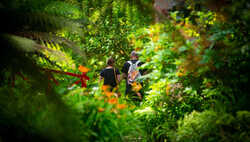 Discover Dorset’s Most Colourful Spring Gardens Discover Dorset’s Most Colourful Spring Gardens