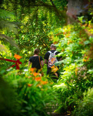 Couple walking through Abbotsbury gardens