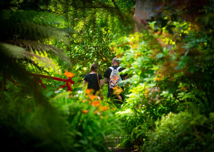 visitors exploring the subtropical gardens in summer