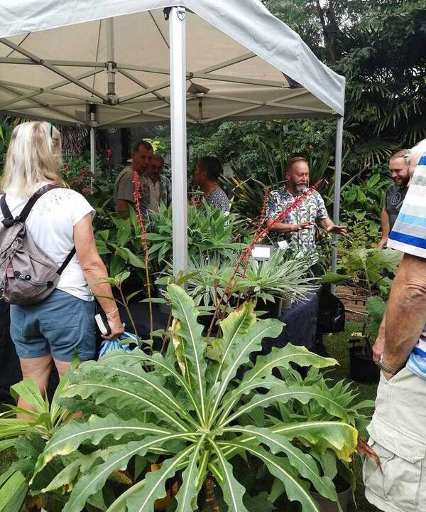 People gather under a tent surrounded by various plants and foliage.