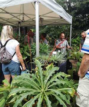 People gather under a tent surrounded by various plants and foliage.