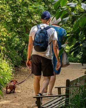 A person walking a dog along a path lined with greenery at Abbotsbury Subtropical Gardens.