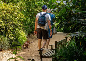 two visitors and a dog walking along a path at abbotsbury subtropical gardens