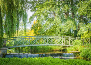 A bridge over a small river surrounded by lush greenery at Athelhampton House & Gardens, Dorset