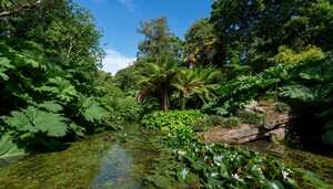 pathway leading to sculpture in the walled garden at abbotsbury subtropical gardens