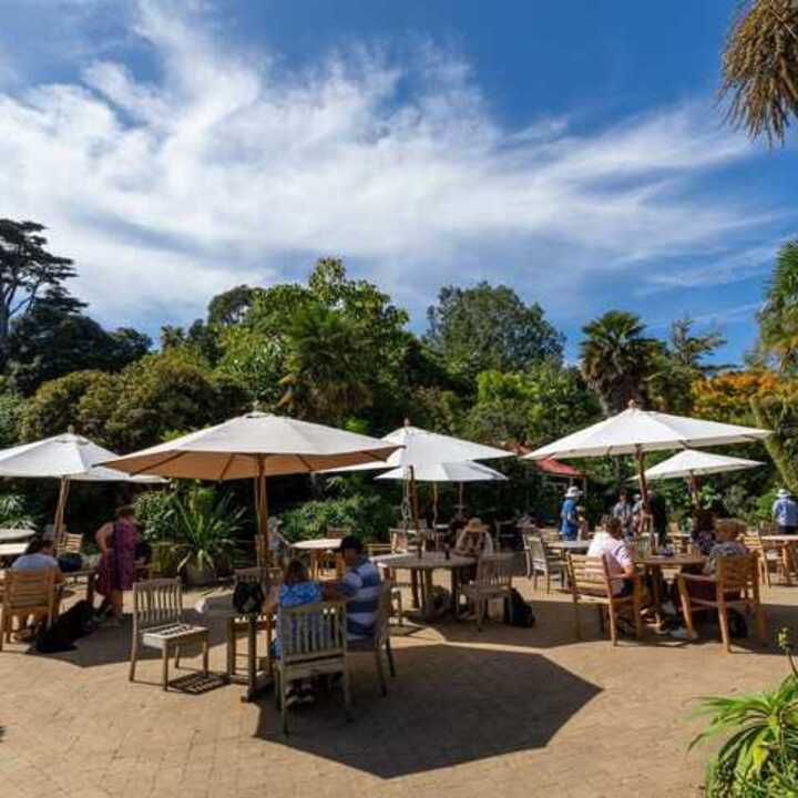 The cafe at Abbotsbury Subtropical Gardens 