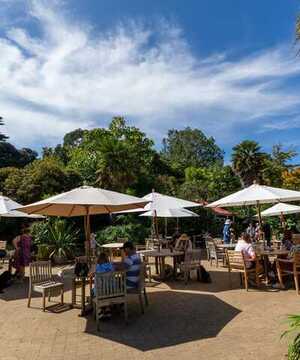 The cafe at Abbotsbury Subtropical Gardens
