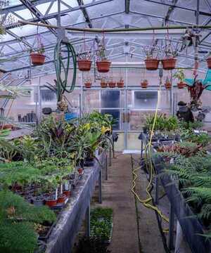 People gather under a tent surrounded by various plants and foliage.