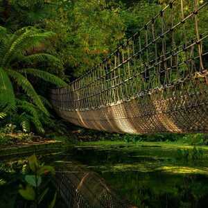 Rope bridge at Abbotsbury Subtropical Gardens