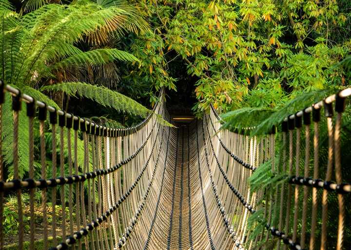 Red bridge at Abbotsbury