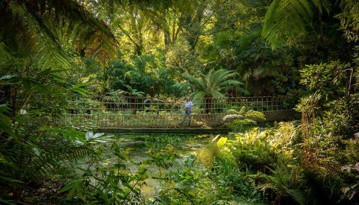 Take to the trees: discover our new rope bridge