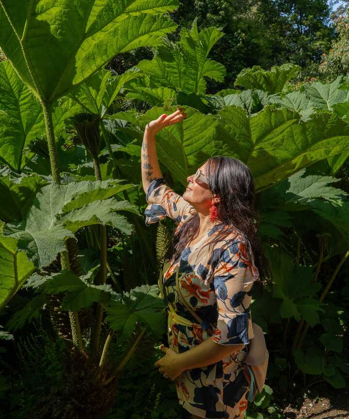 A woman reaching up towards large green gunnera in a vibrant garden setting.