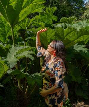 A woman reaching up towards large green gunnera in a vibrant garden setting.