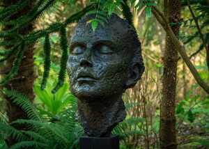 pathway leading through abbotsbury subtropical gardens