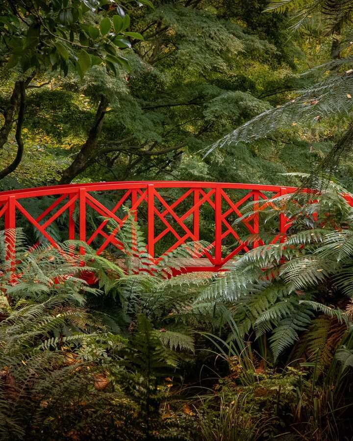 Forde Abbey House and Gardens