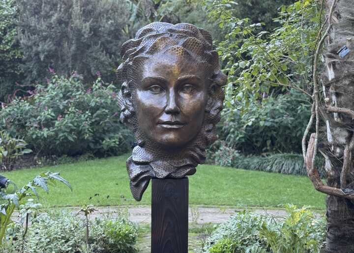 pathway leading through abbotsbury subtropical gardens