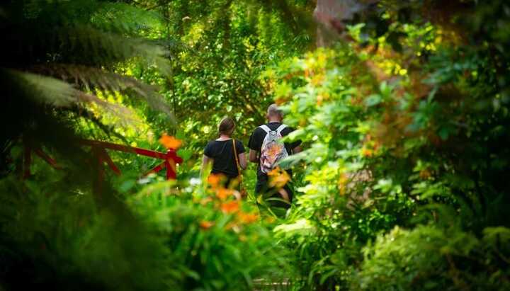 Hidden Gems to Explore in Dorset This Summer