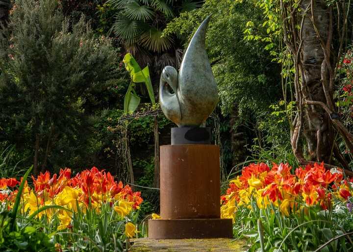 swan sculpture by leading contemporary sculptor simon gudgeon