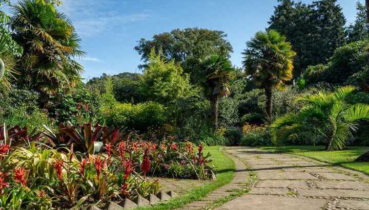 RHS Partner Gardens to Visit in the South West