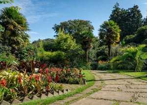 pathway leading through abbotsbury subtropical gardens
