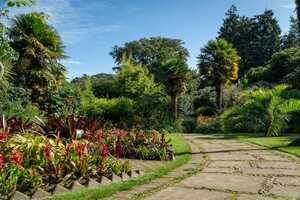 pathway leading through abbotsbury subtropical gardens pathway leading through abbotsbury subtropical gardens