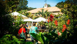visitors gathered in outdoor seating area at abbotsbury subtropical gardens