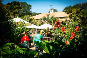 outdoor seating and shade around the cafe area at abbotsbury subtropical gardens outdoor seating and shade around the cafe area at abbotsbury subtropical gardens